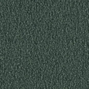 Vorwerk Violetta 55A0 – Draufsicht Teppichboden Farbe 55A0 ohne Badge